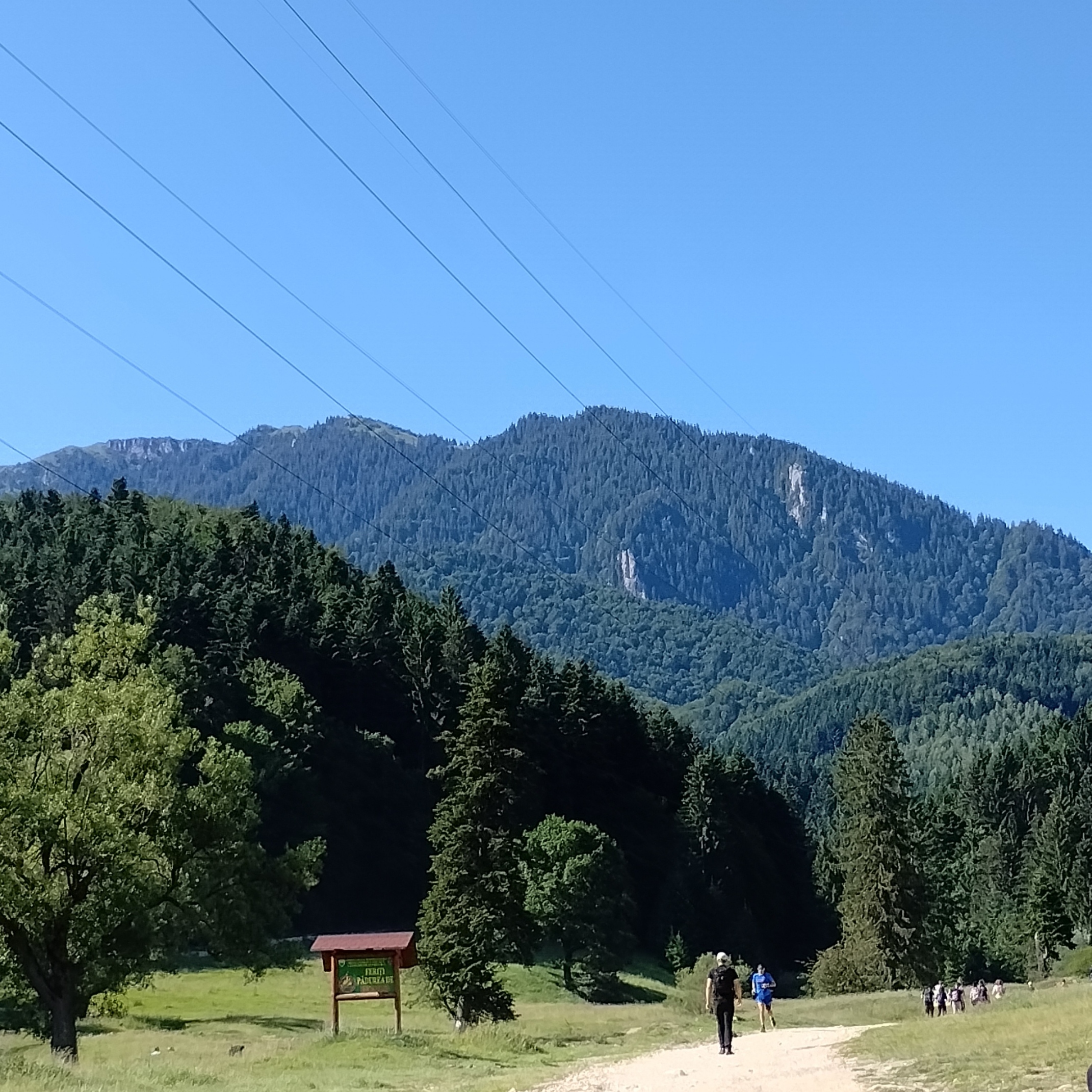 7 Stairs Cannyon Entrance. Trail entrance for the 7 Stairs Cannyon, in Romania.